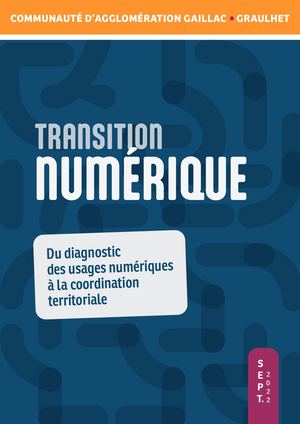 Diagnostic des usages numériques à la coordination territoriale