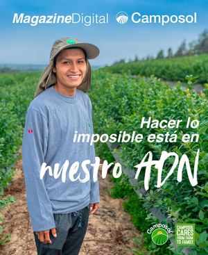 MAGAZINE NOVIEMBRE - CAMPOSOL