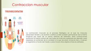 Tipos De Contracciones