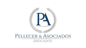 Pellecer Asociados Manual Gráfico
