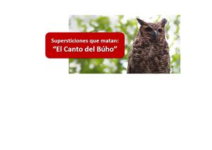 El Canto Del Búho