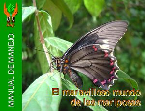 Mariposas Pdf
