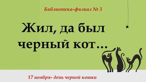 Жил да был черный кот