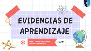 Mis Evidencias De Aprendizaje