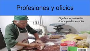 Profesiones Y Oficios