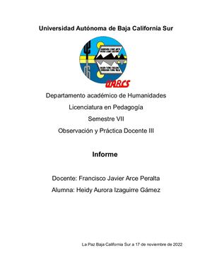 Informe De Observación Y Practica Docente