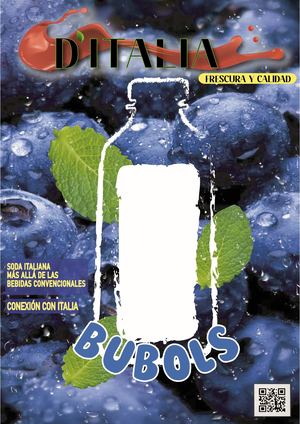 Revista D´ITALIA