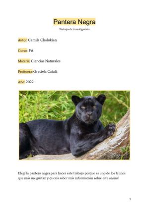 Pantera Negra Camila Chalukian