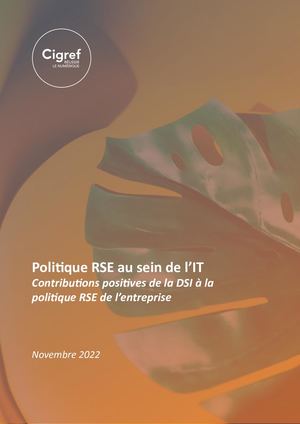 Politique Rse Au Sein De L'IT Novembre 2022