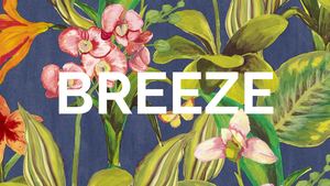 Breeze