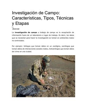 Investigación De Campo