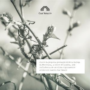 1 Brochura Cas Amaro Pt 17x17