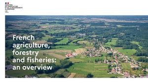 French agriculture, forestry and fisheries: an overview
