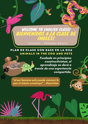 Animals In The Zoo And Pets