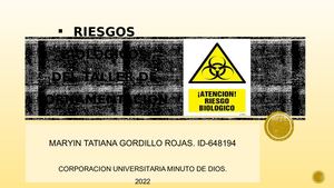 Riesgo Biologico De Taller De Ornamentacion
