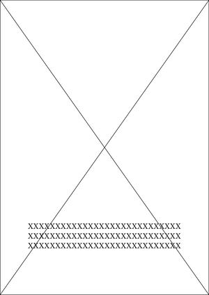 Machote Cuento Patricio Lincango