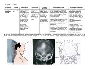 Anexo Tarea 4 Identificación Y Generación De Protocolos Cara Y Cráneo Edison Garcia 1144