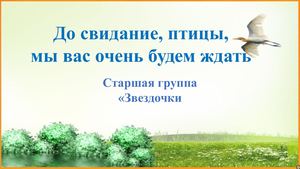 презентация перелетные птицы