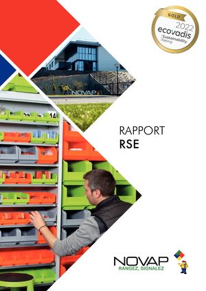 Rapport Rse