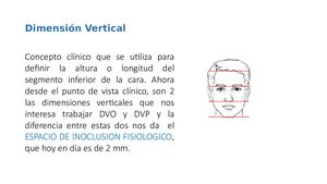 Dimensión Vertical