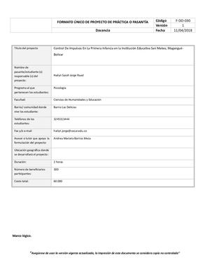 Informe Formato Proyecto Institucional Practica Clinica 2