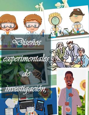 Texto Parelo de Diseño de Investigación