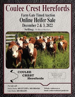 Coulee Crest Herefords Online Heifer Sale