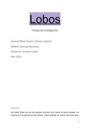 Lobos Brisa Y Victoria