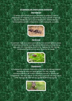 10 Ejemplos De Interacciones Biológicas