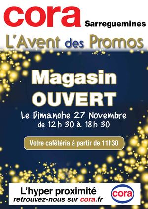 Flip Book Sarreguemines