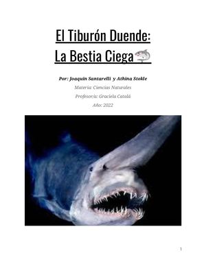 Tiburon Athina Y Joaquin (2)