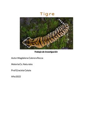 Tigre.Magui