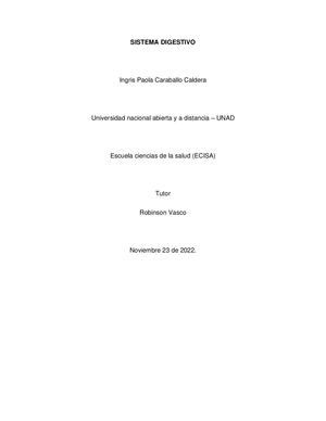 Sistema Digestivo