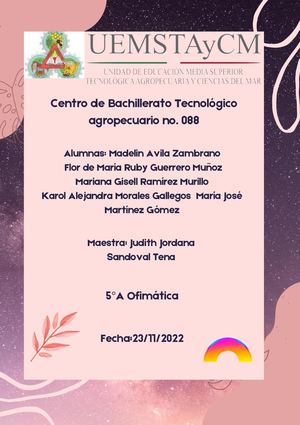 Manual De Usuario De Access