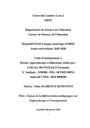 Dossier Apprentissage Et Didactique Fernando