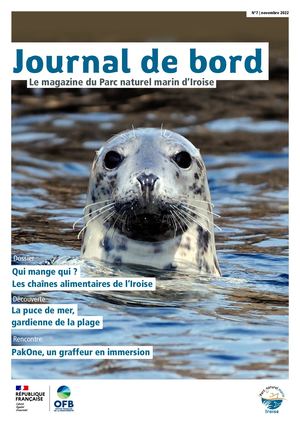 Journal de Bord n°7