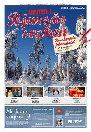 Bjursås Vinter 2022