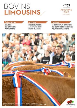 Bovins Limousins 233 / Extrait