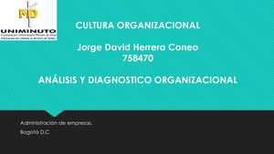 Cultura Organizacional
