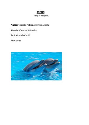 Delfines Camila Paternoster