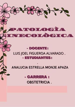 Monje Apaza Analucia