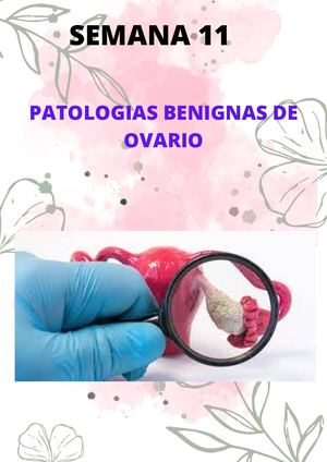 Portafolio del 5to ciclo  de patología