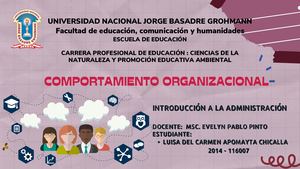 Comportamiento Organizacional