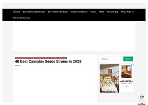 40 Best weed Seeds Strains In 2022