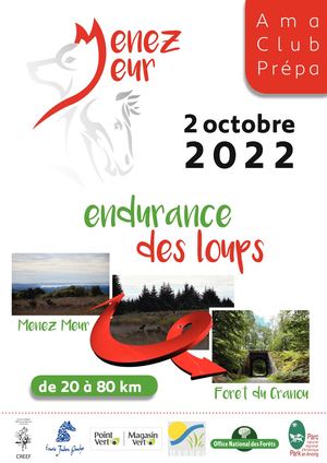 Programme endurance des loups 2022