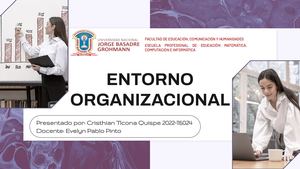 Entorno Organizacional