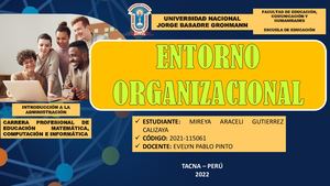 Entorno Organizacional