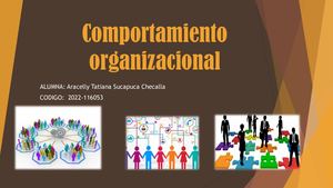Comportamiento Organizacional