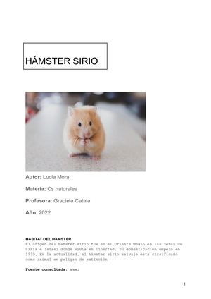 Lucia Mora Trabajo De Investigación (hamster Sirio)