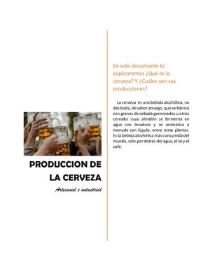 Proceso Productivo De La Cerveza